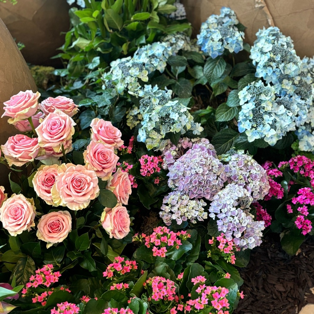 Meet your Posher, Alissa